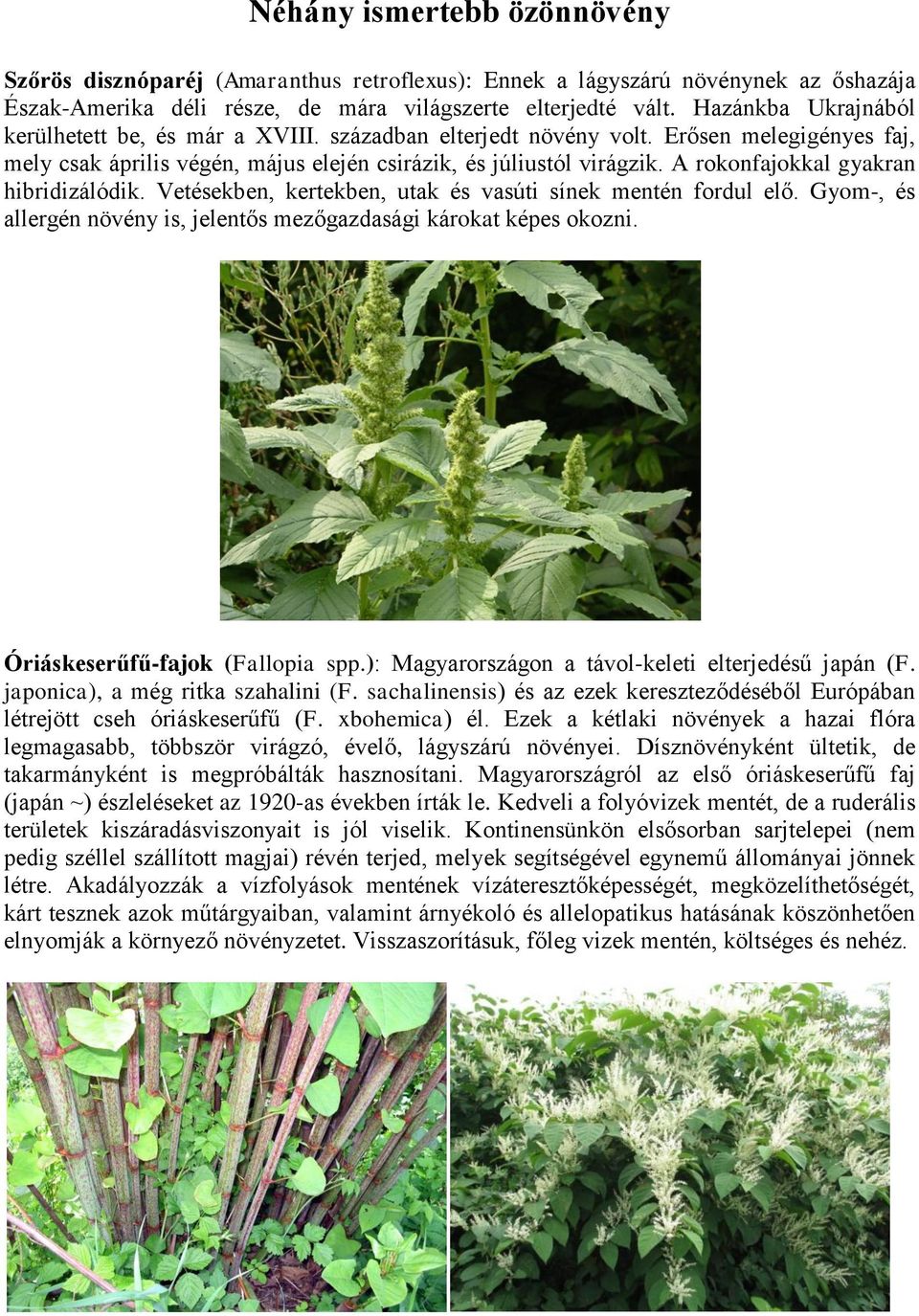 A rokonfajokkal gyakran hibridizálódik. Vetésekben, kertekben, utak és vasúti sínek mentén fordul elő. Gyom-, és allergén növény is, jelentős mezőgazdasági károkat képes okozni.