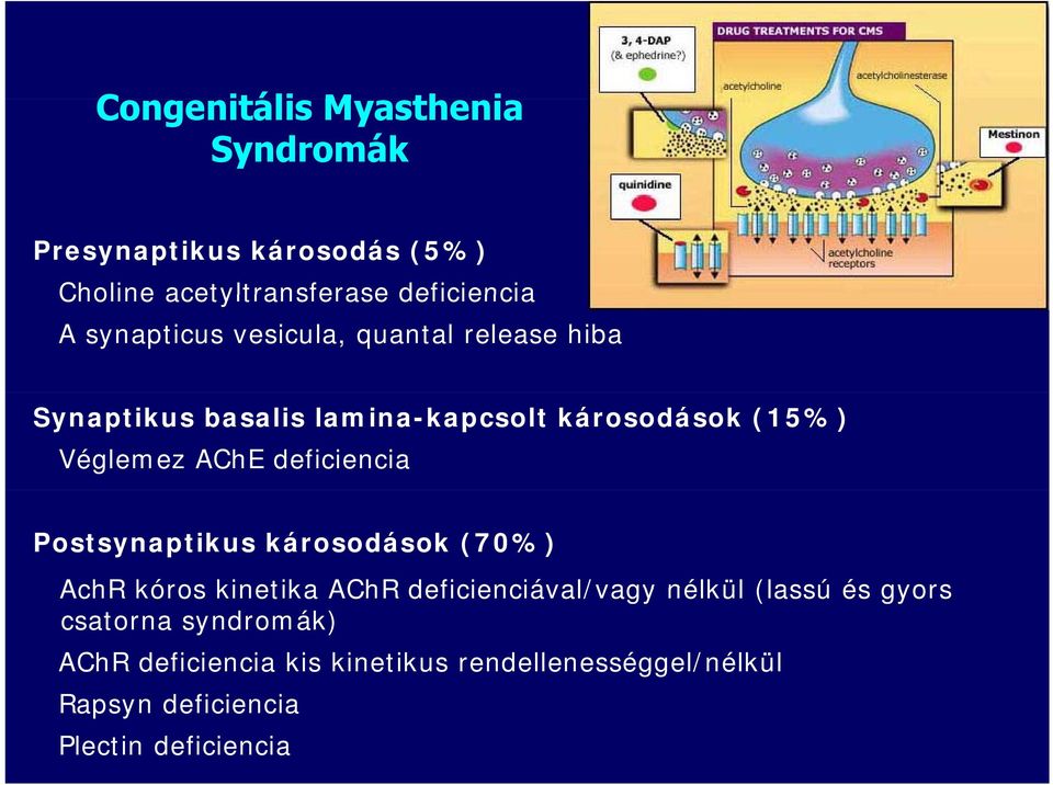 deficiencia Postsynaptikus károsodások (70%) AchR kóros kinetika AChR deficienciával/vagy nélkül (lassú és