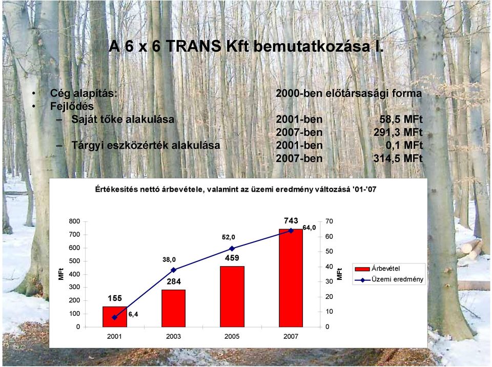 MFt Tárgyi eszközérték alakulása 2001-ben 0,1 MFt 2007-ben 314,5 MFt Értékesítés nettó árbevétele,