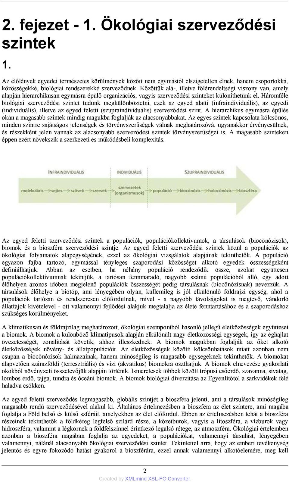 Közöttük alá-, illetve fölérendeltségi viszony van, amely alapján hierarchikusan egymásra épülő organizációs, vagyis szerveződési szinteket különíthetünk el.