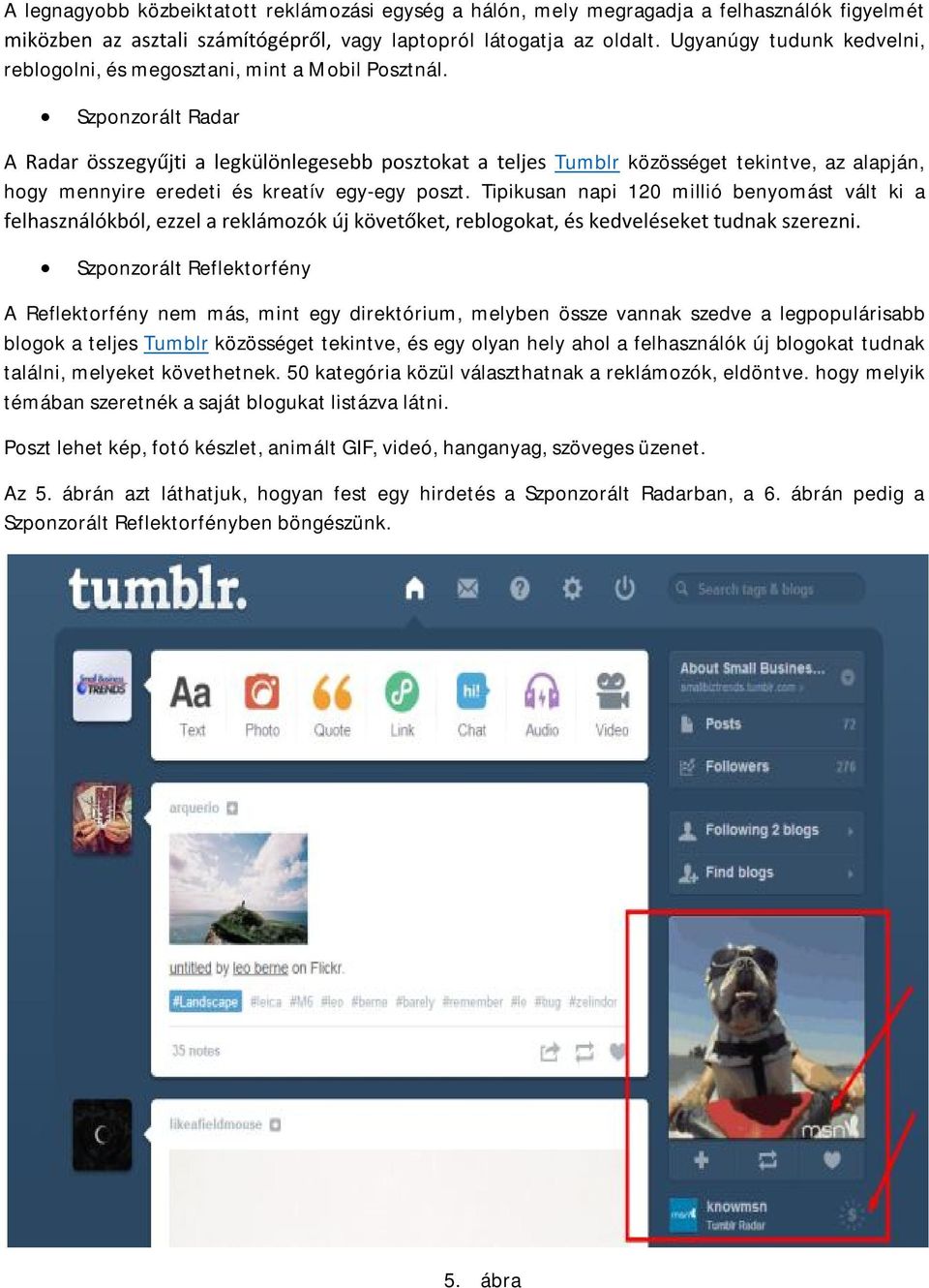 Szponzorált Radar A Radar összegyűjti a legkülönlegesebb posztokat a teljes Tumblr közösséget tekintve, az alapján, hogy mennyire eredeti és kreatív egy-egy poszt.