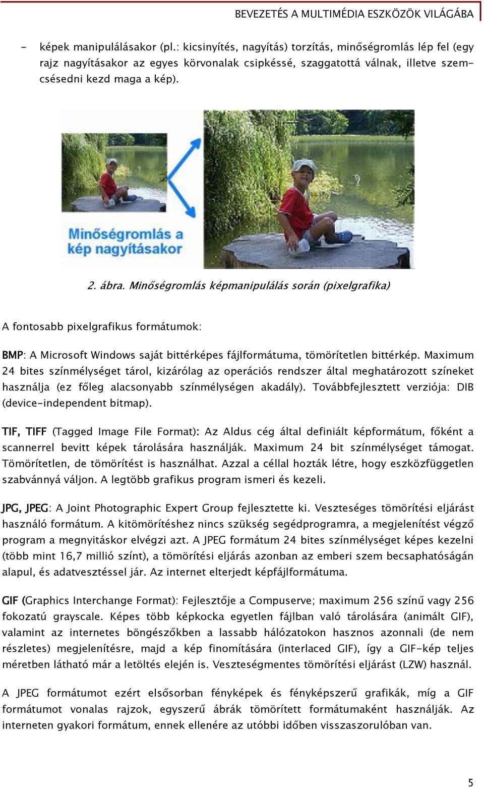 Maximum 24 bites színmélységet tárol, kizárólag az operációs rendszer által meghatározott színeket használja (ez főleg alacsonyabb színmélységen akadály).