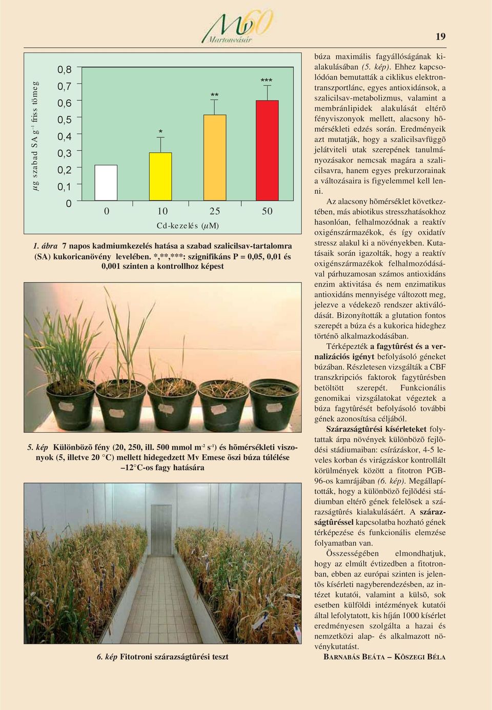 500 mmol m -2 s -1 ) és hõmérsékleti viszonyok (5, illetve 20 C) mellett hidegedzett Mv Emese õszi búza túlélése 12 C-os fagy hatására ** Cd-kezelés (μm) 6.