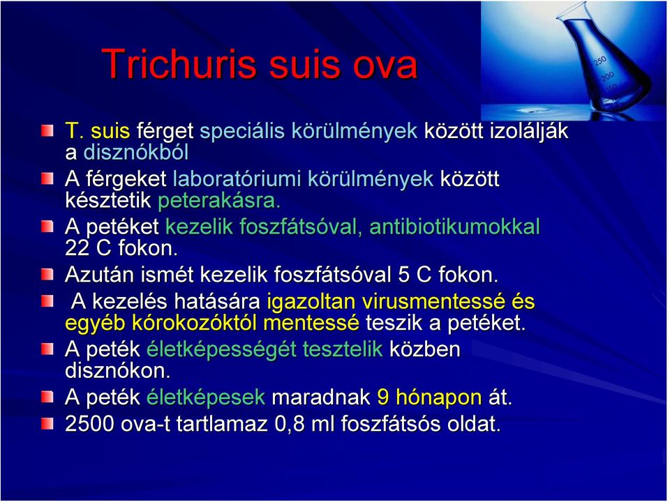 késztetik peterakásra. A petéket kezelik foszfáts tsóval,, antibiotikumokkal 22 C fokon.