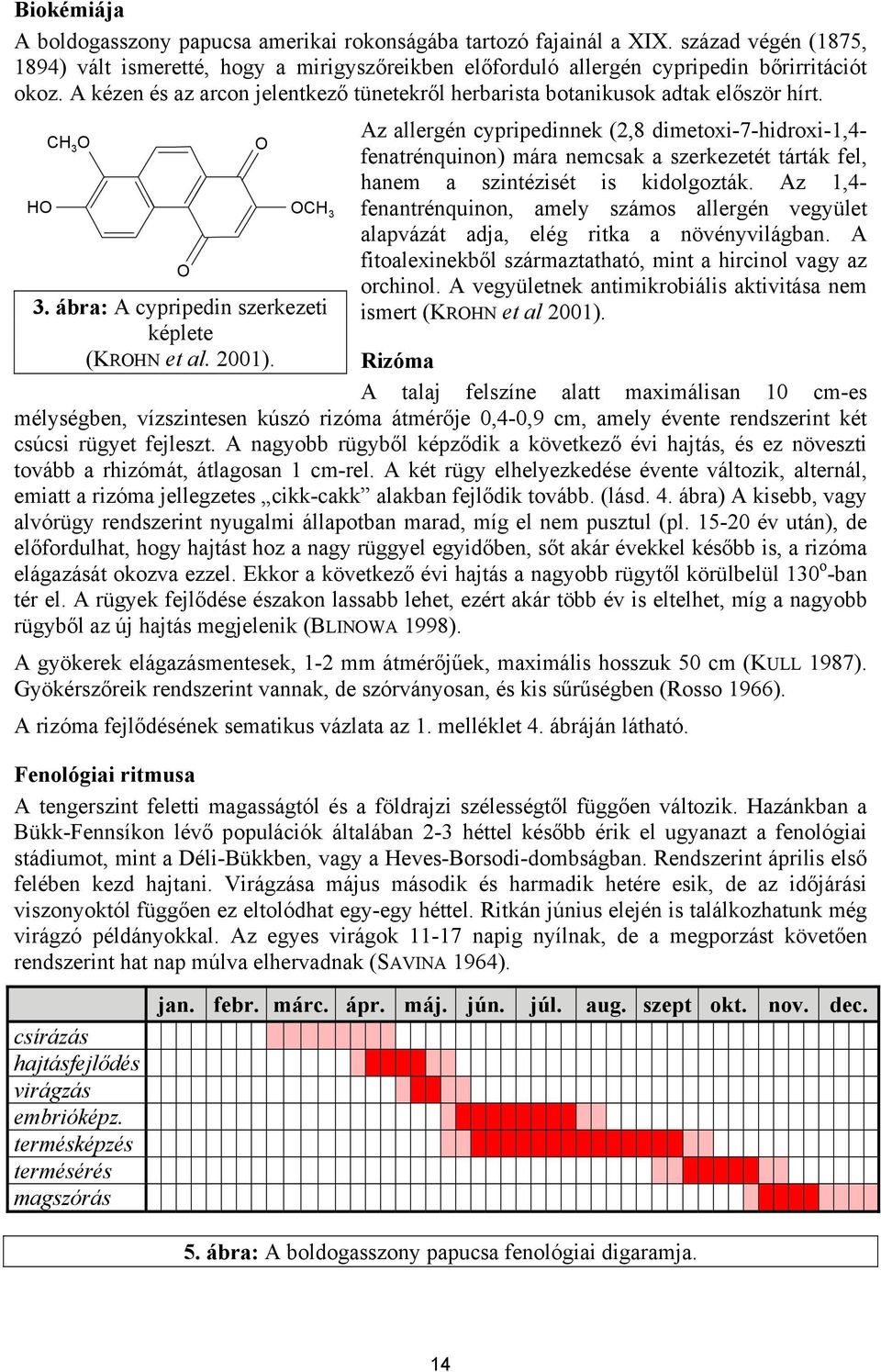 O Az allergén cypripedinnek (2,8 dimetoxi-7-hidroxi-1,4- fenatrénquinon) mára nemcsak a szerkezetét tárták fel, hanem a szintézisét is kidolgozták.