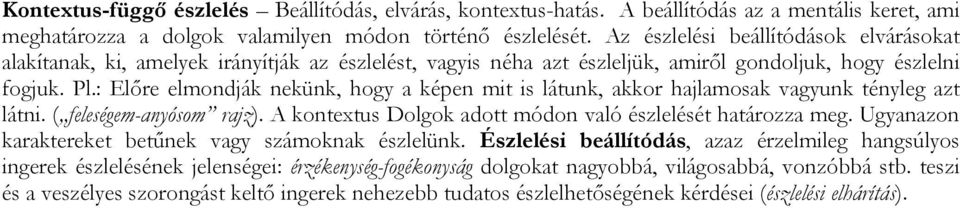 : Előre elmondják nekünk, hogy a képen mit is látunk, akkor hajlamosak vagyunk tényleg azt látni. ( feleségem-anyósom rajz). A kontextus Dolgok adott módon való észlelését határozza meg.