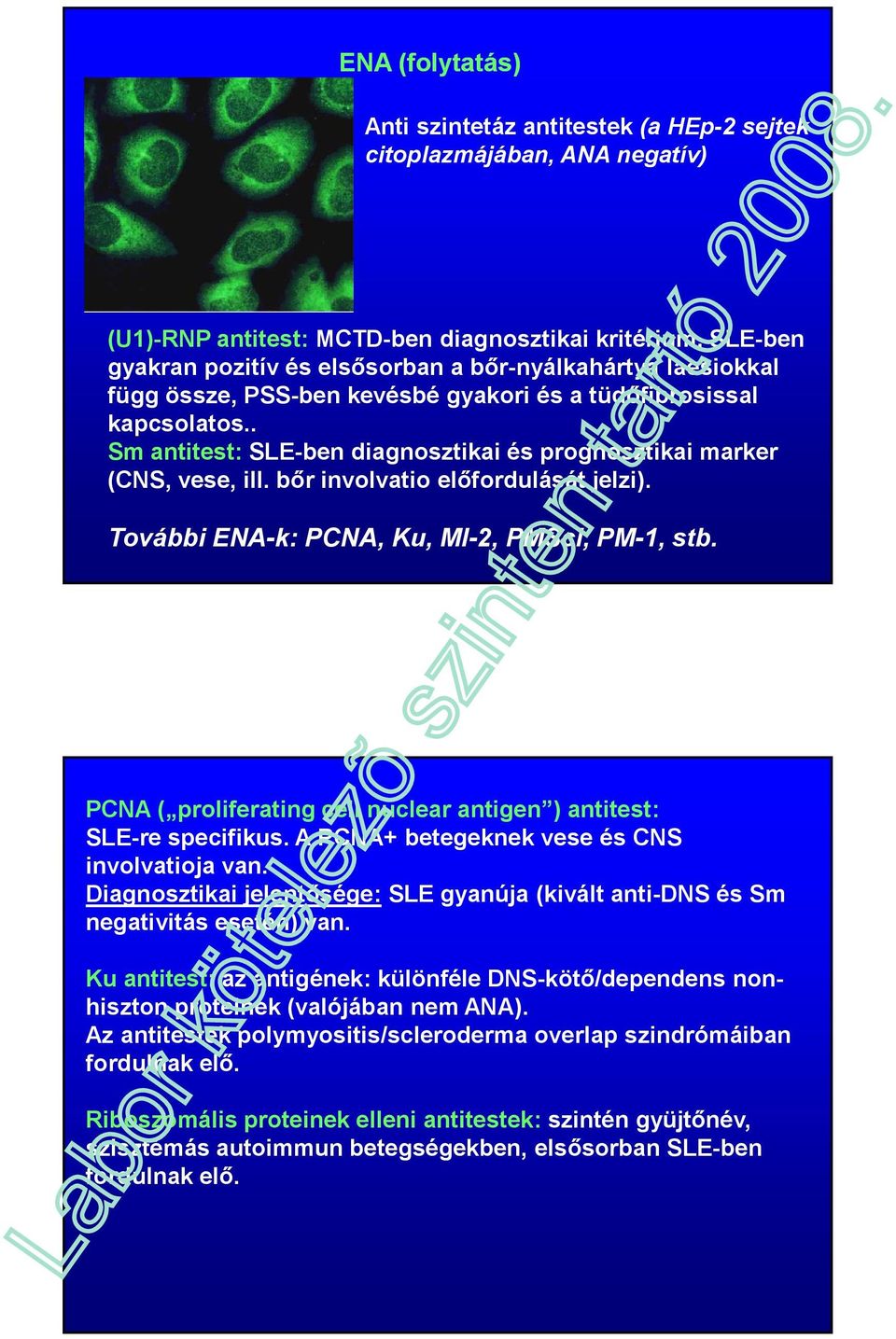 További ENA-k: PCNA, Ku, MI-2, PMScl, PM-1, stb. PCNA ( proliferating cell nuclear antigen ) antitest: SLE-re specifikus. A PCNA+ betegeknek vese és CNS involvatioja van.