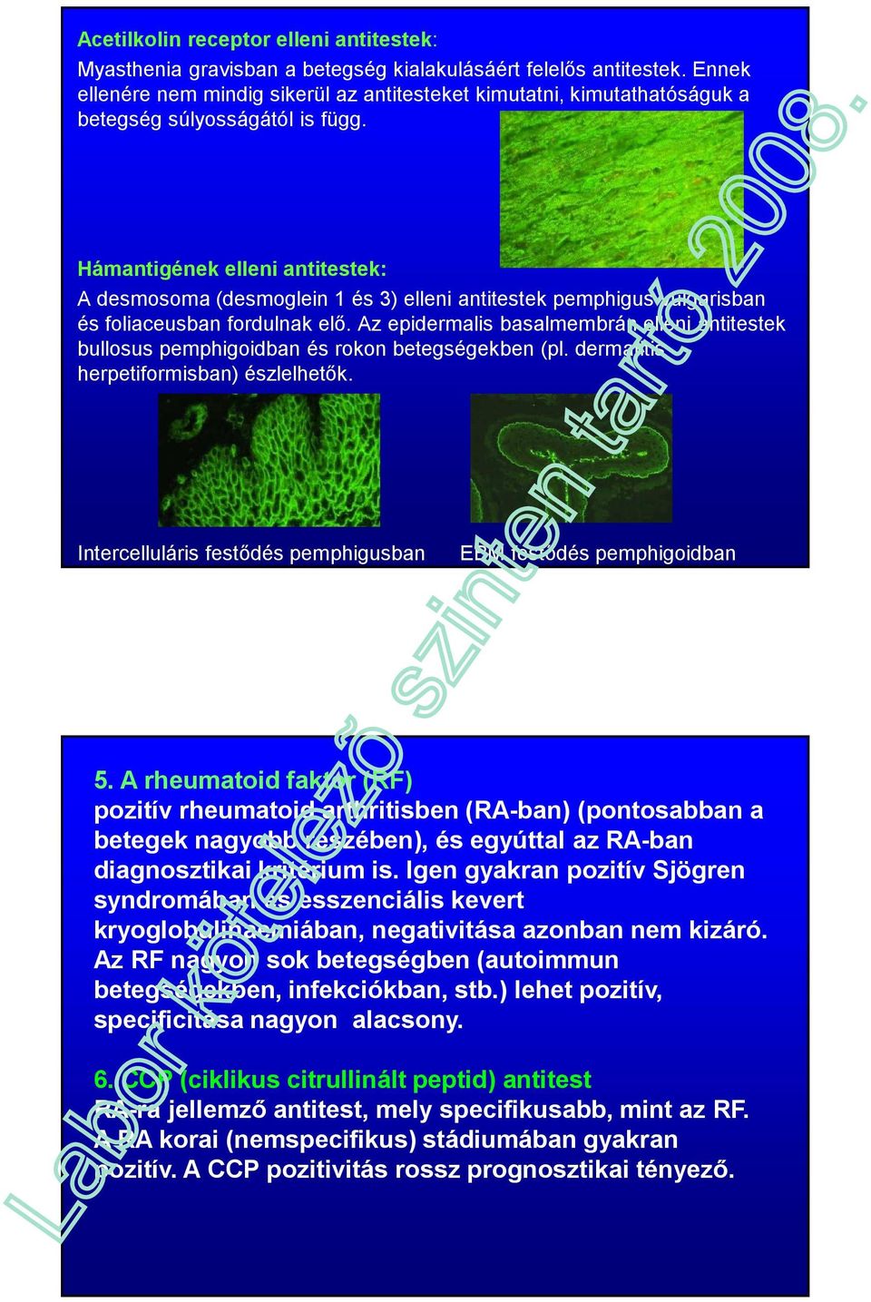 Hámantigének elleni antitestek: A desmosoma (desmoglein 1 és 3) elleni antitestek pemphigus vulgarisban és foliaceusban fordulnak elő.