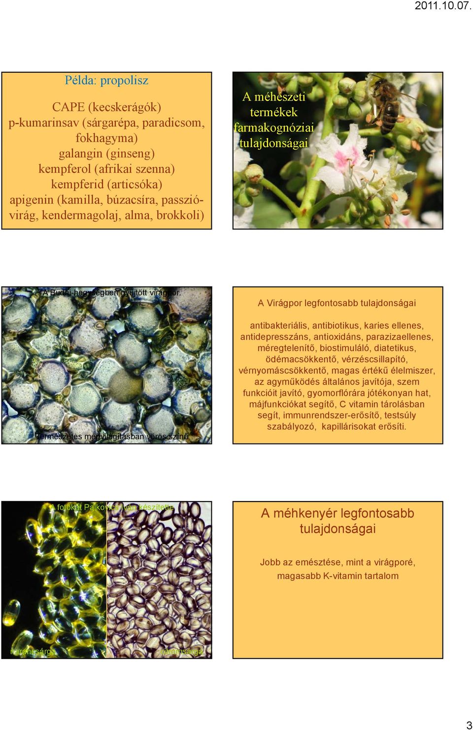 Természetes megvilágításban vörös színű A Virágpor legfontosabb antibakteriális, antibiotikus, karies ellenes, antidepresszáns, antioxidáns, parazizaellenes, méregtelenítő, biostimuláló, diatetikus,
