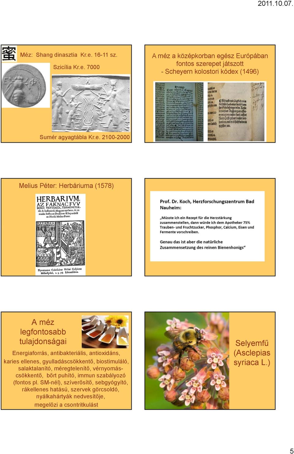 e. 2100-2000 Melius Péter: Herbáriuma (1578) A méz legfontosabb Energiaforrás, antibakteriális, antioxidáns, karies ellenes, gyulladáscsökkentő,