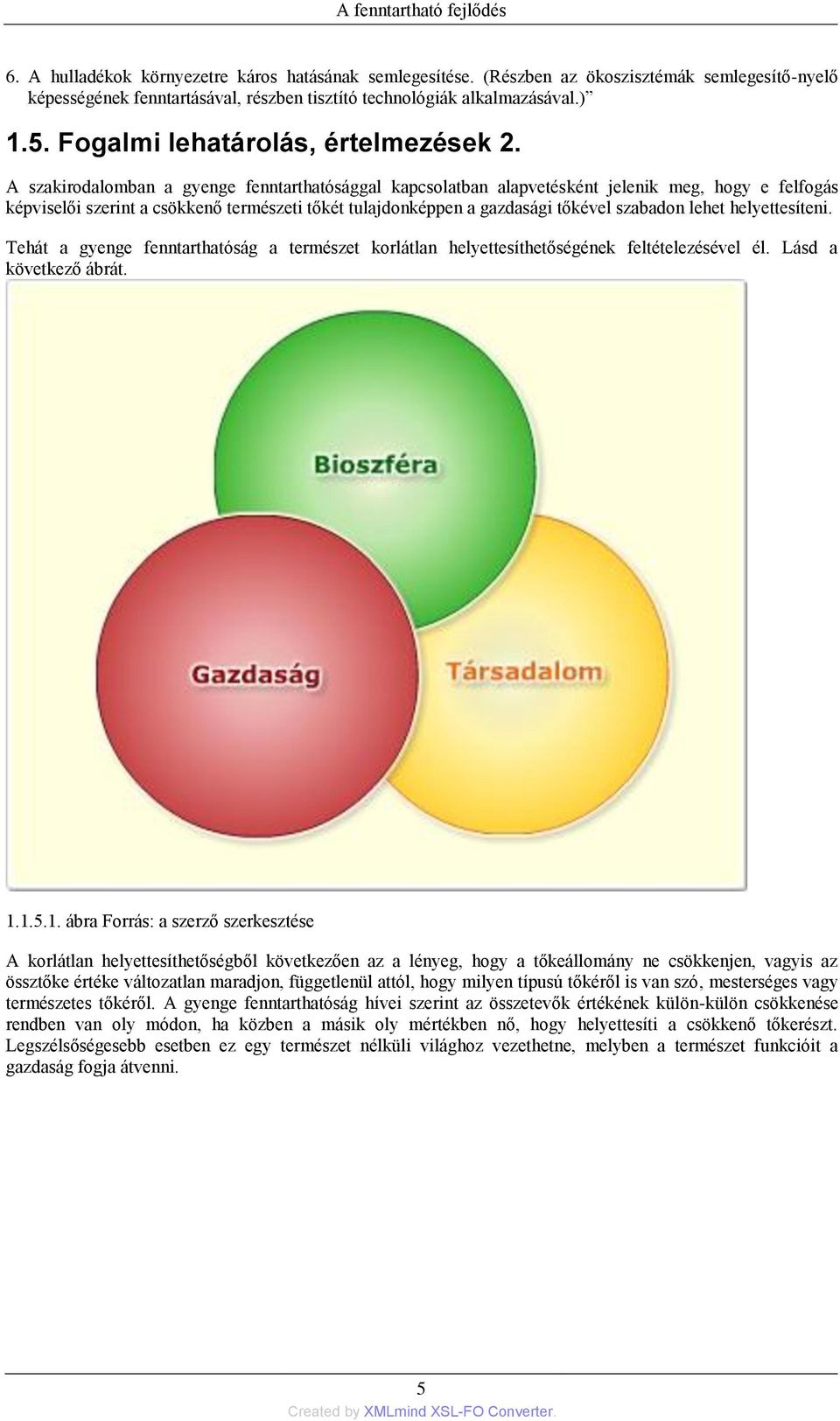 A szakirodalomban a gyenge fenntarthatósággal kapcsolatban alapvetésként jelenik meg, hogy e felfogás képviselői szerint a csökkenő természeti tőkét tulajdonképpen a gazdasági tőkével szabadon lehet