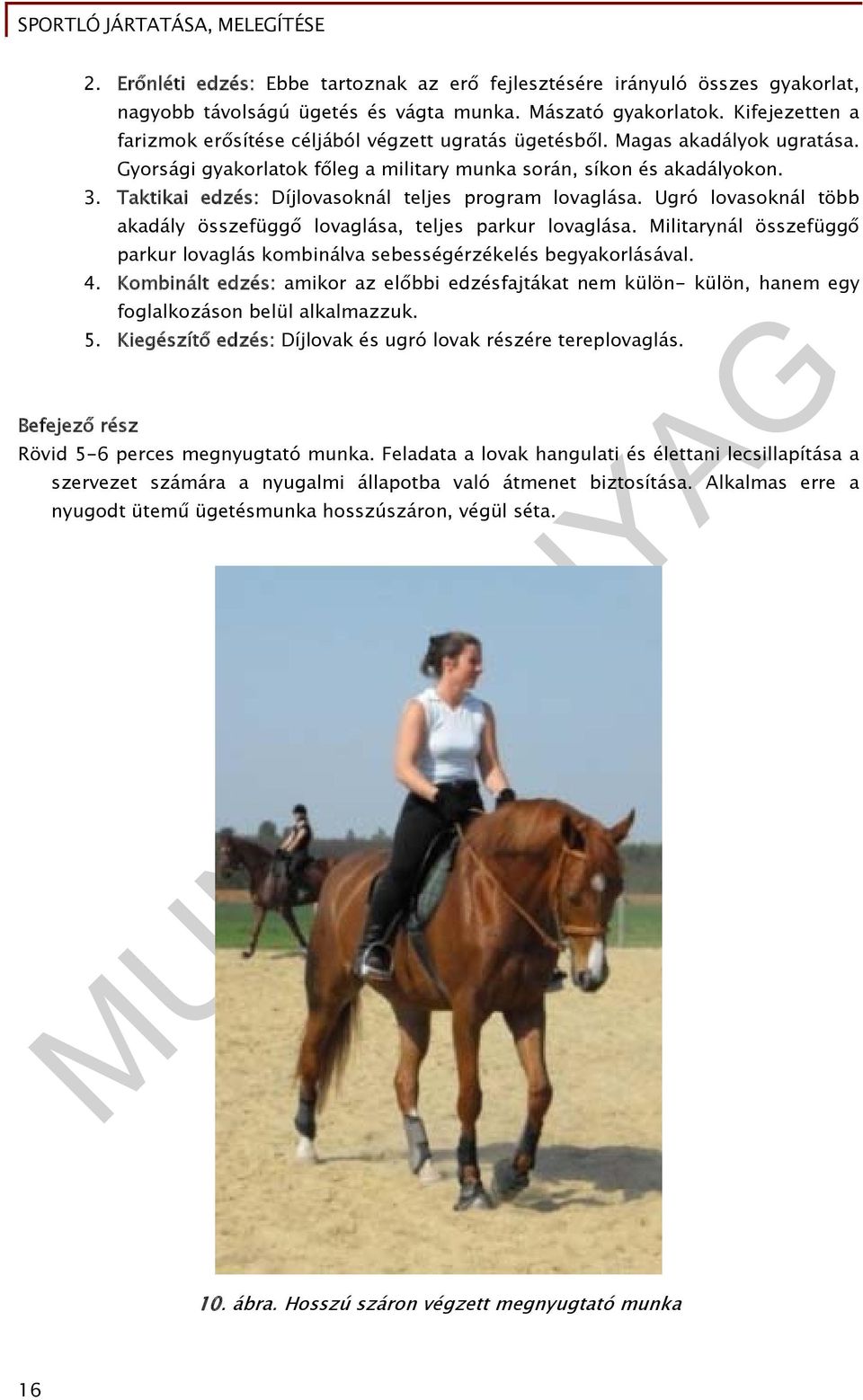 Taktikai edzés: Díjlovasoknál teljes program lovaglása. Ugró lovasoknál több akadály összefüggő lovaglása, teljes parkur lovaglása.