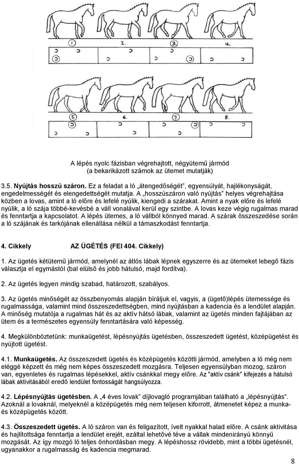 A hosszúszáron való nyújtás helyes végrehajtása közben a lovas, amint a ló előre és lefelé nyúlik, kiengedi a szárakat.