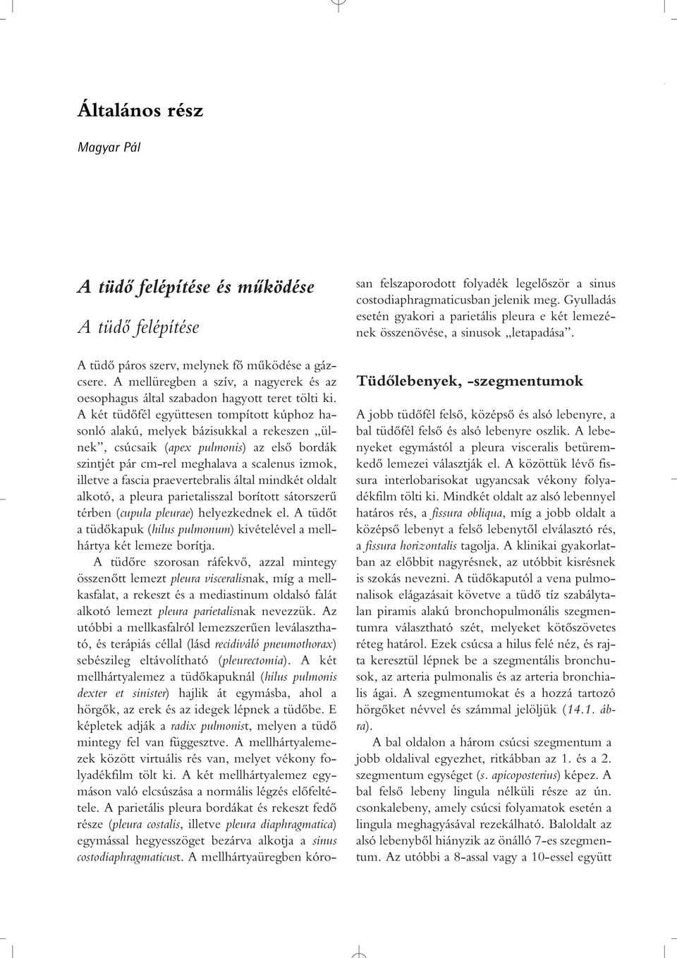 A két tüdôfél együttesen tompított kúphoz hasonló alakú, melyek bázisukkal a rekeszen ülnek, csúcsaik (apex pulmonis) az elsô bordák szintjét pár cm-rel meghalava a scalenus izmok, illetve a fascia