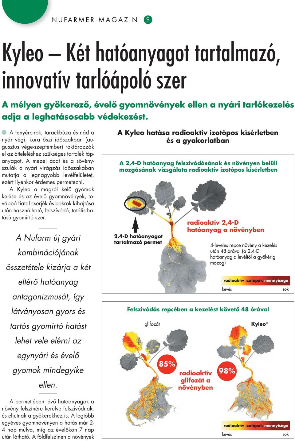 A mezei acat és a sö vény - szulák a nyári virágzás idôszakában mutatja a legnagyobb levélfelületet, ezért ilyenkor érdemes permetezni.