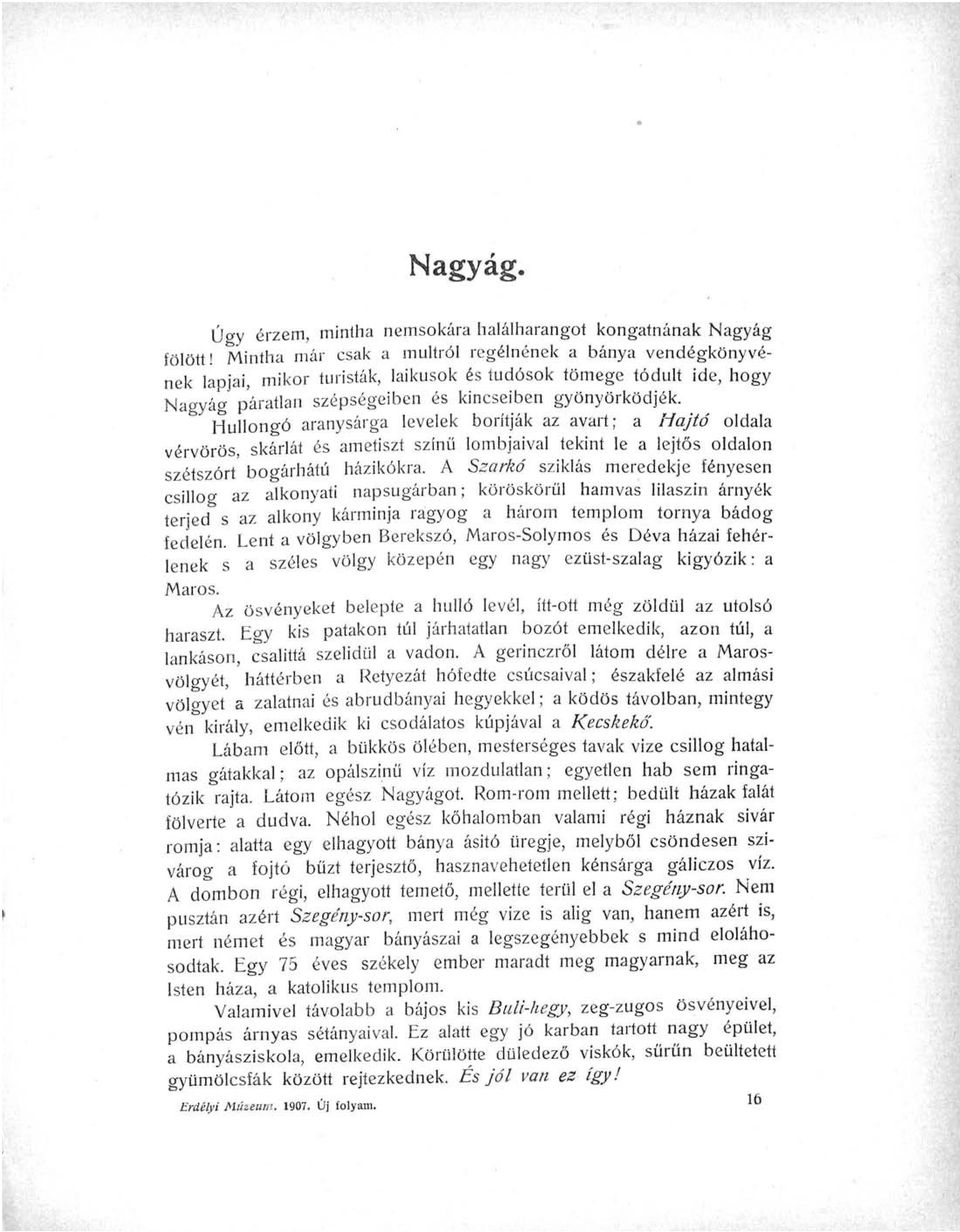 Hullongó aranysárga levelek borítják az avart; a Hajtó oldala vérvörös, skarlát és ametiszt színű lombjaival tekint le a lejtős oldalon szétszórt bogárhátú házikókra.