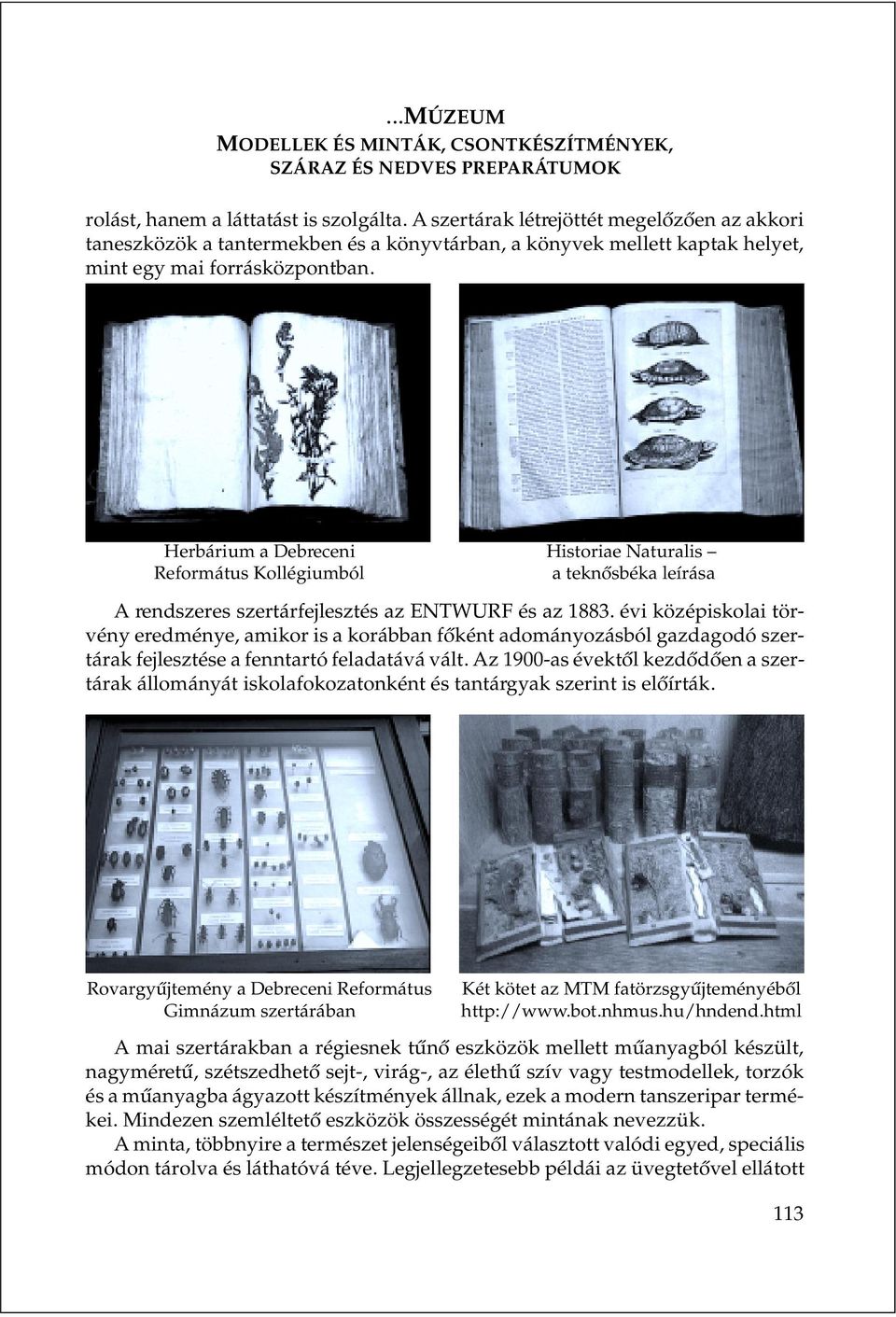 Herbárium a Debreceni Historiae Naturalis Református Kollégiumból a teknõsbéka leírása A rendszeres szertárfejlesztés az ENTWUR és az 1883.