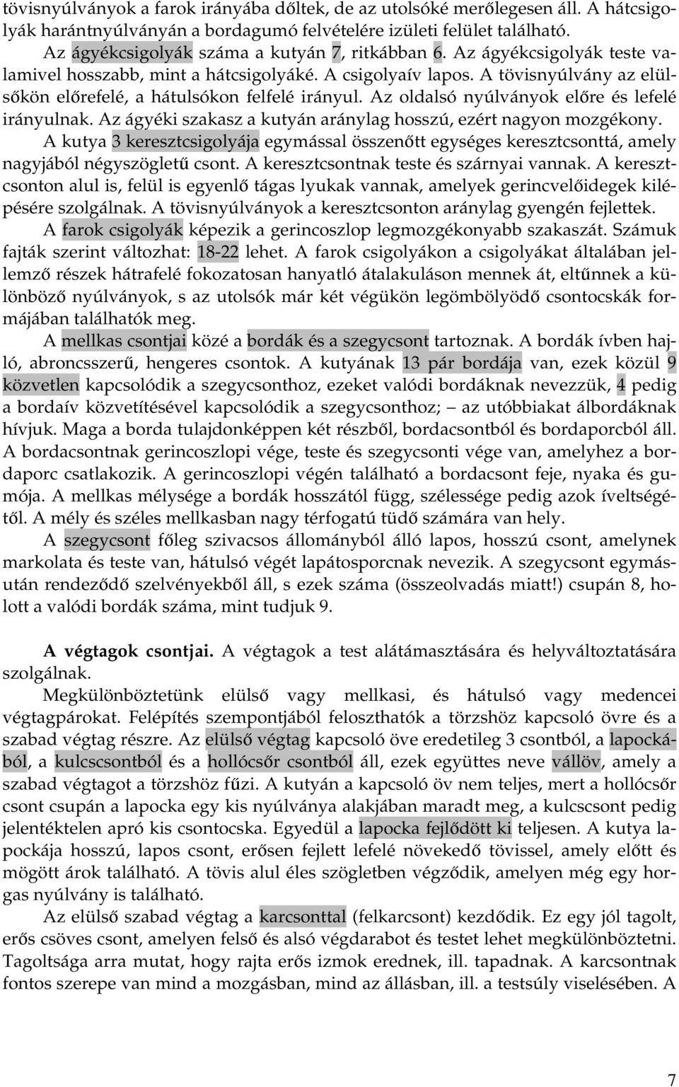 A tövisnyúlvány az elülsőkön előrefelé, a hátulsókon felfelé irányul. Az oldalsó nyúlványok előre és lefelé irányulnak. Az ágyéki szakasz a kutyán aránylag hosszú, ezért nagyon mozgékony.