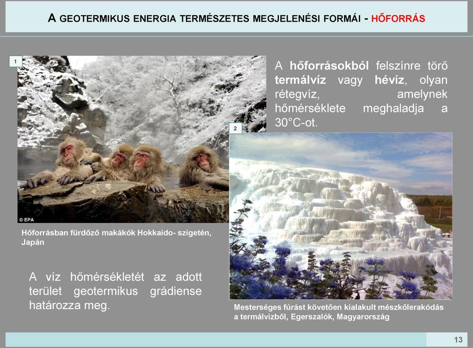 Hőforrásban fürdőző makákók Hokkaido- szigetén, Japán A víz hőmérsékletét az adott terület