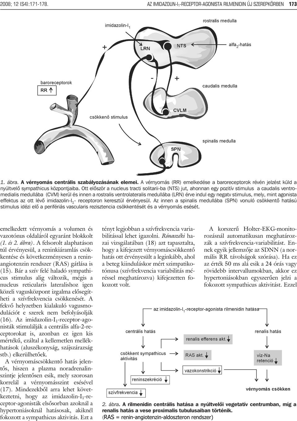 Ott elõször a nucleus tracti solitarii-ba (NTS) jut, ahonnan egy pozitív stimulus a caudalis ventromedialis medullába (CVM) kerül és innen a rostralis ventrolateralis medullába (LRN) érve indul egy