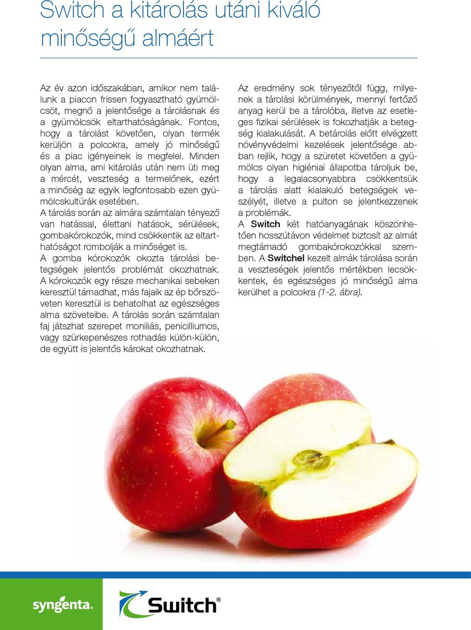 Minden olyan alma, ami kitárolás után nem üti meg a mércét, veszteség a termelőnek, ezért a minőség az egyik legfontosabb ezen gyümölcskultúrák esetében.