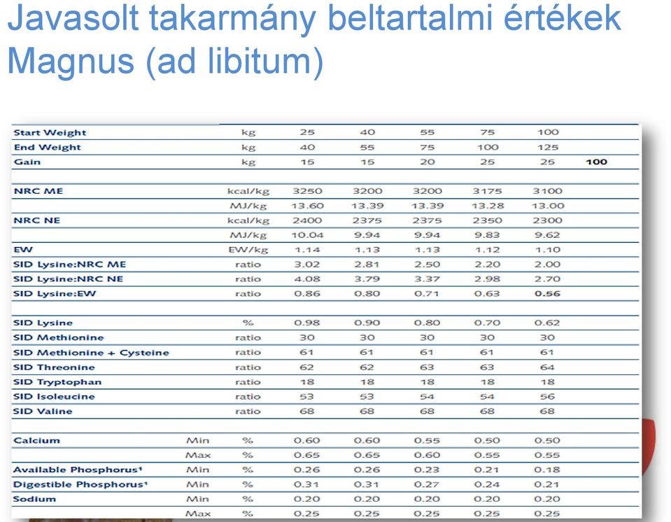 beltartalmi