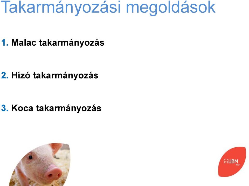 Malac takarmányzás 2.