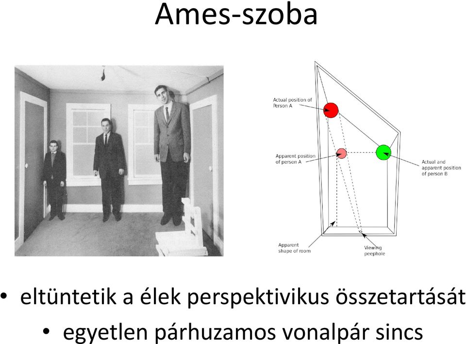 összetartását egyetlen