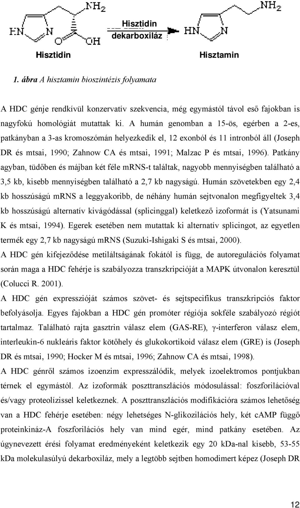 Patkány agyban, tüdőben és májban két féle mrns-t találtak, nagyobb mennyiségben található a 3,5 kb, kisebb mennyiségben található a 2,7 kb nagyságú.