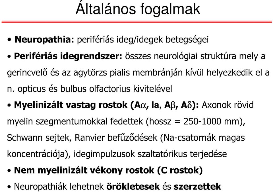 opticus és bulbus olfactorius kivitelével Myelinizáltvastag rostok (Aα, Ia,Aβ, Aδ): Axonok rövid myelin szegmentumokkal fedettek (hossz =