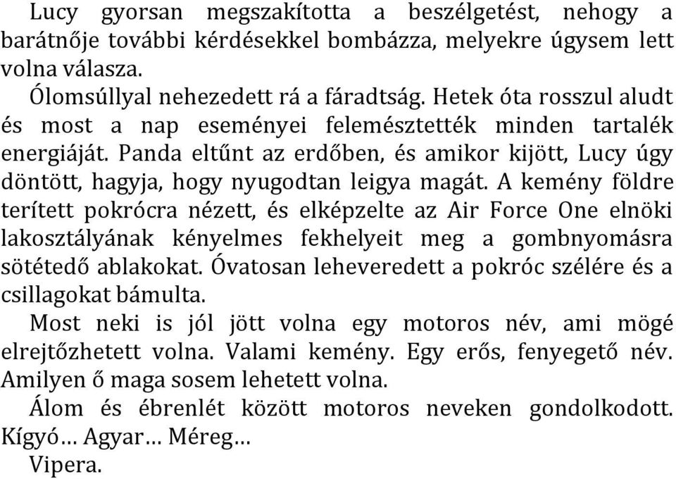 A kemény földre terített pokrócra nézett, és elképzelte az Air Force One elnöki lakosztályának kényelmes fekhelyeit meg a gombnyomásra sötétedő ablakokat.