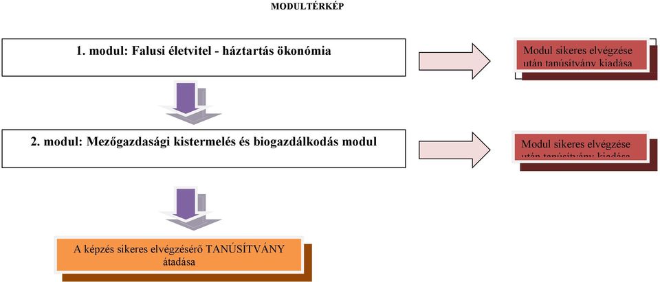 elvégzése után tanúsítvány kiadása 2.