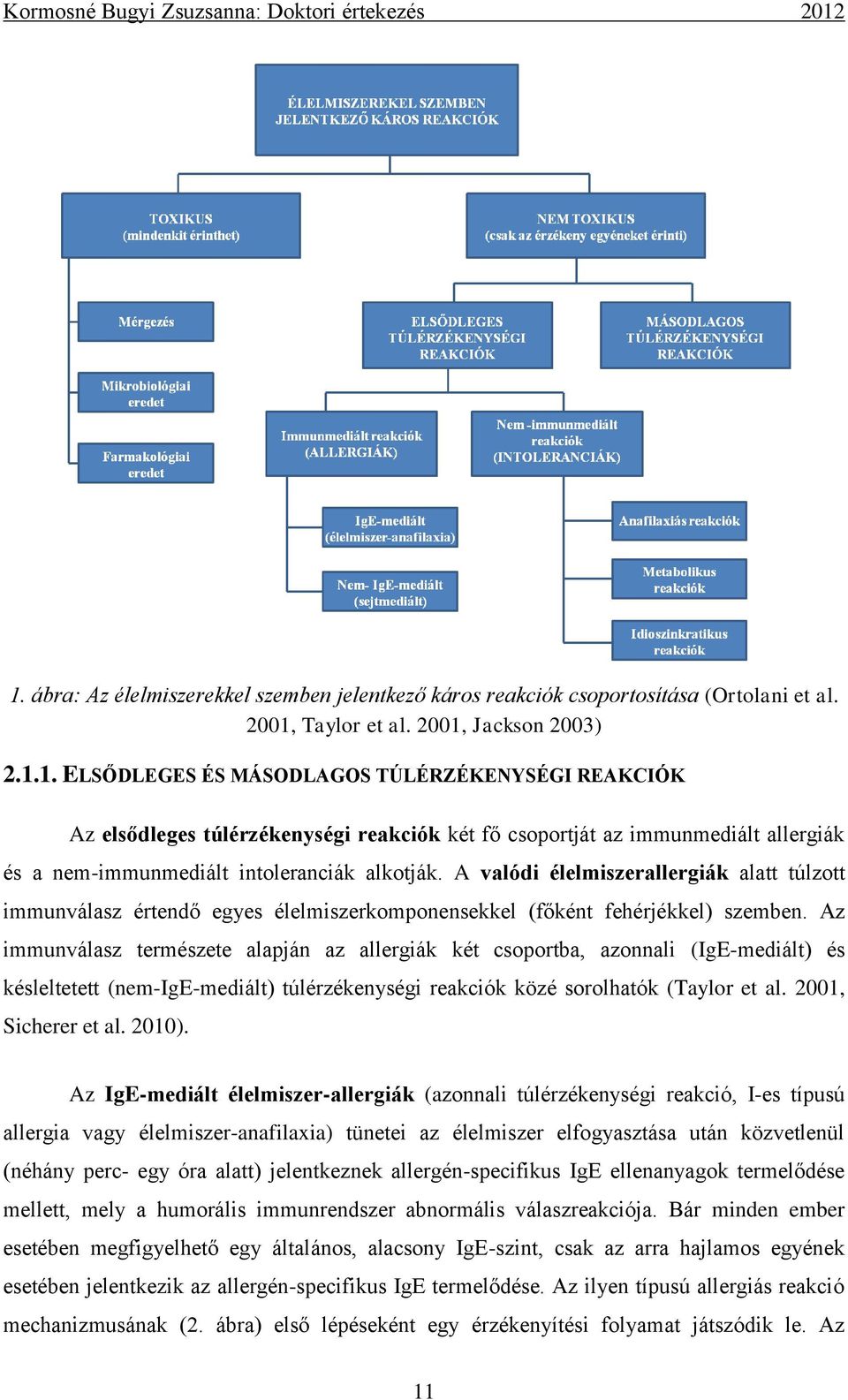 Az immunválasz természete alapján az allergiák két csoportba, azonnali (IgE-mediált) és késleltetett (nem-ige-mediált) túlérzékenységi reakciók közé sorolhatók (Taylor et al. 2001, Sicherer et al.