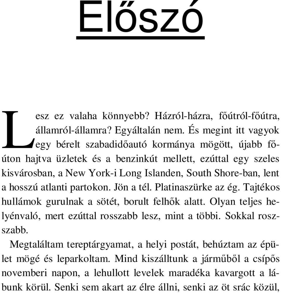 Shore-ban, lent a hosszú atlanti partokon. Jön a tél. Platinaszürke az ég. Tajtékos hullámok gurulnak a sötét, borult felhők alatt.