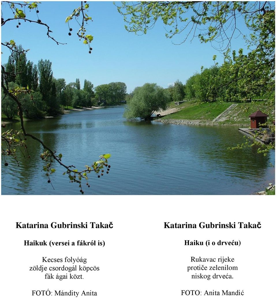 FOTÓ: Mándity Anita Katarina Gubrinski Takač Haiku (i o