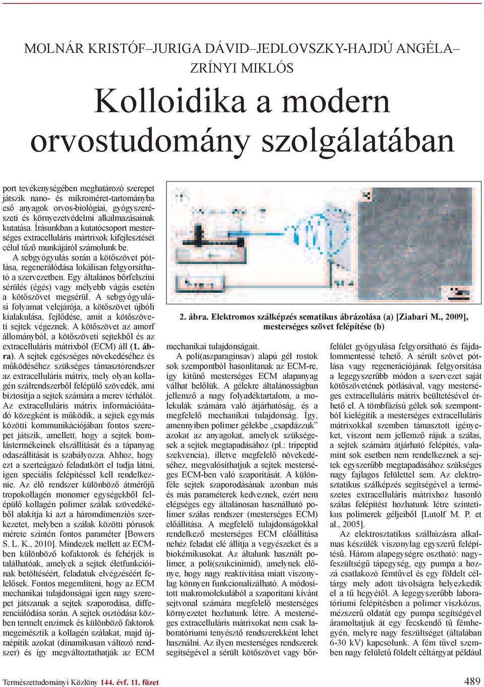 Írásunkban a kutatócsoport mesterséges extracelluláris mártrixok kifejlesztését célul t z munkájáról számolunk be.