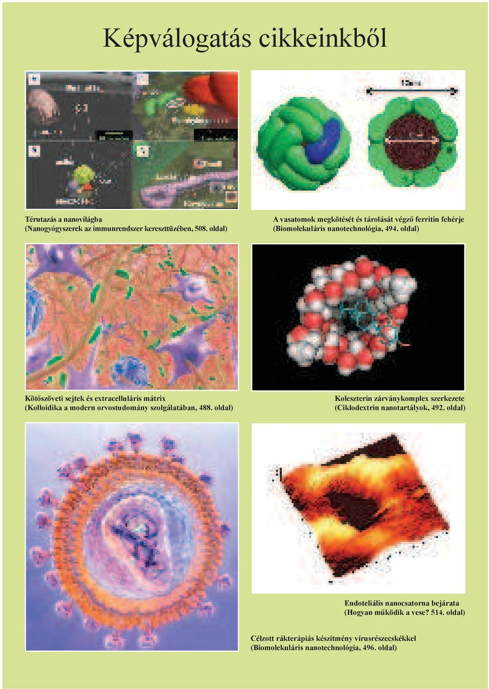 oldal) Köt szöveti sejtek és extracelluláris mátrix (Kolloidika a modern orvostudomány szolgálatában, 488.