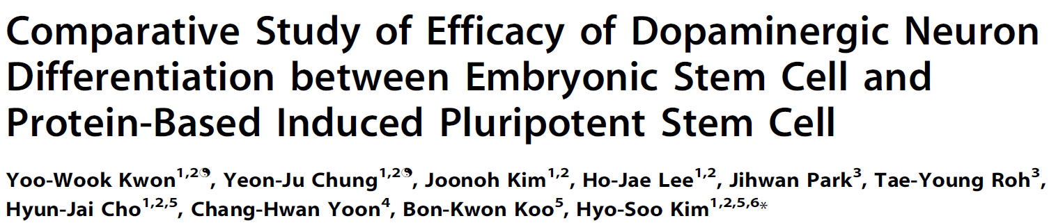 Parkinson kór egér ES sejtek és fibroblasztból készített P-iPSC (protein kivonat ES sejtekből) dopaminerg neuronok