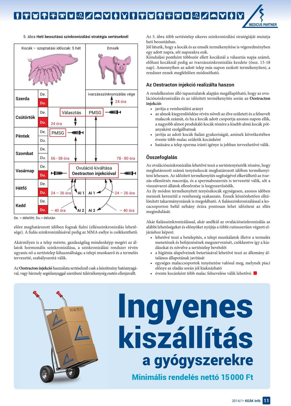 meghatározott időben fognak fialni (ellésszinkronizálás lehetősége). A fialás szinkronizálásával pedig az MMA esélye is csökkenthető.