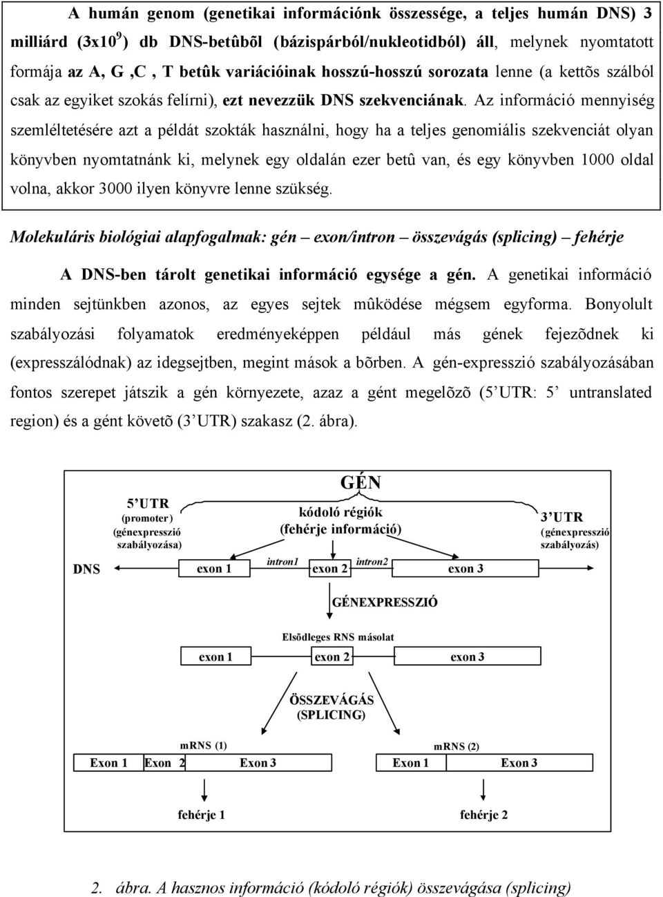 Az információ mennyiség szemléltetésére azt a példát szokták használni, hogy ha a teljes genomiális szekvenciát olyan könyvben nyomtatnánk ki, melynek egy oldalán ezer betû van, és egy könyvben 1000