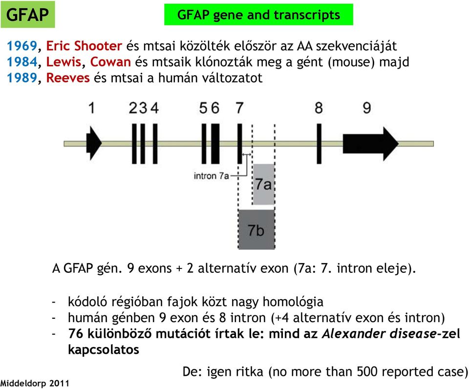 intron eleje).