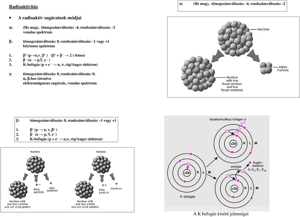 K-befogás (p + e - n, ν, rtg/auger elektron) γ: tömegszámváltozás: 0, rendszámváltozás: 0, α, β-hoz társulva elektromágneses sugárzás, vonalas spektrum β: