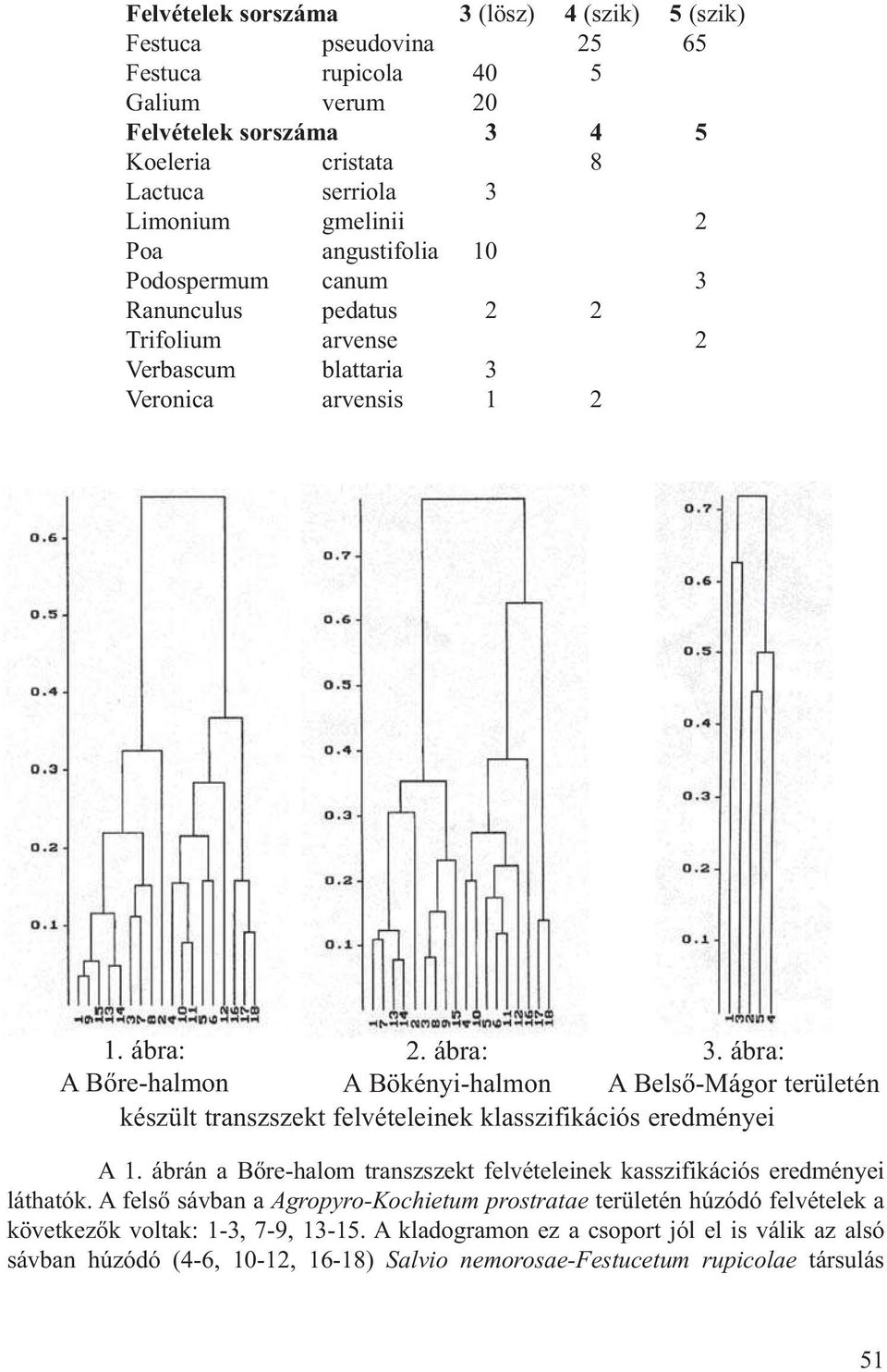 ábra: A Belső-Mágor területén készült transzszekt felvételeinek klasszifikációs eredményei A 1. ábrán a Bőre-halom transzszekt felvételeinek kasszifikációs eredményei láthatók.