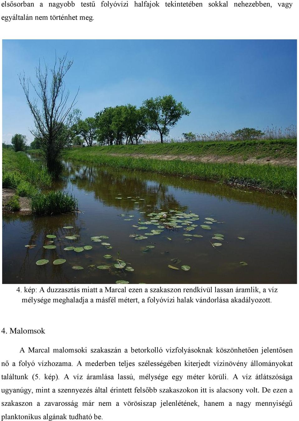 Malomsok A Marcal malomsoki szakaszán a betorkolló vízfolyásoknak köszönhetően jelentősen nő a folyó vízhozama.
