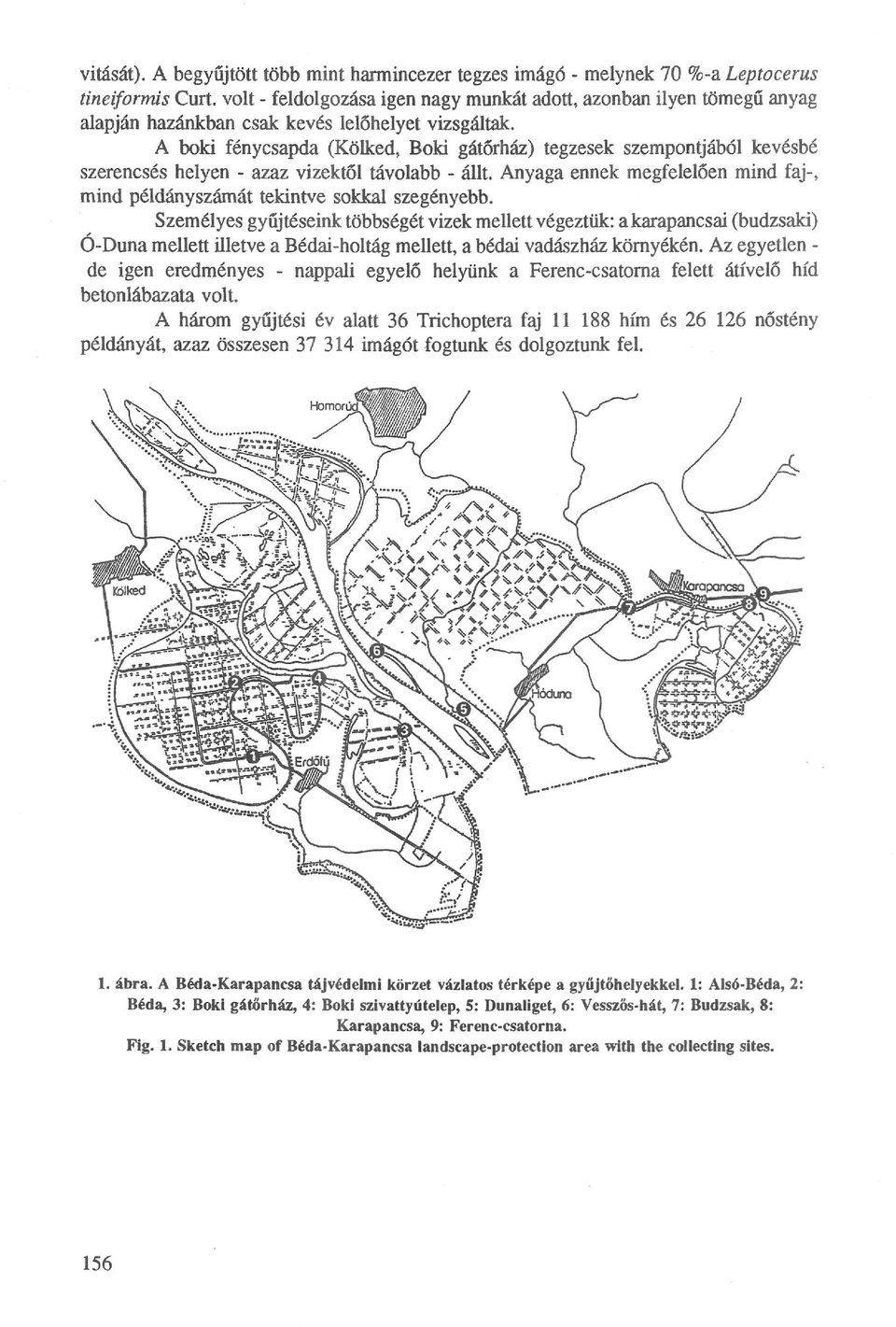 lelőhelyet vizsgáltak. A böki fénycsapda (Kölked, Böki gátőrház) tegzesek szempontjából kevésbé szerencsés helyen - azaz vizektől távolabb - állt.