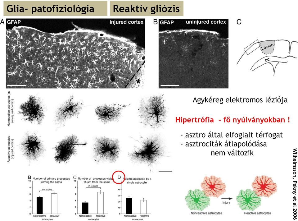 - asztro által elfoglalt térfogat -