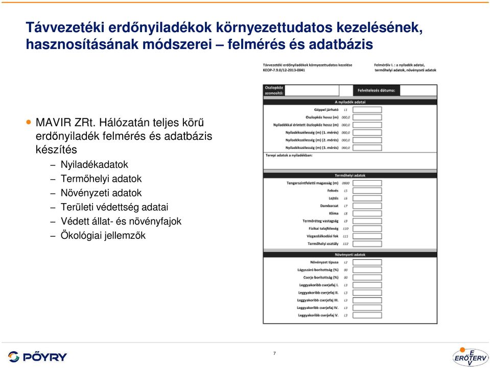 Hálózatán teljes körű erdőnyiladék felmérés és adatbázis készítés