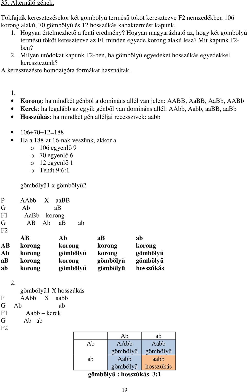 Milyen utódokat kapunk F2-ben, ha gömbölyű egyedeket hosszúkás egyedekkel keresztezünk? A keresztezésre homozigóta formákat használtak. 1.