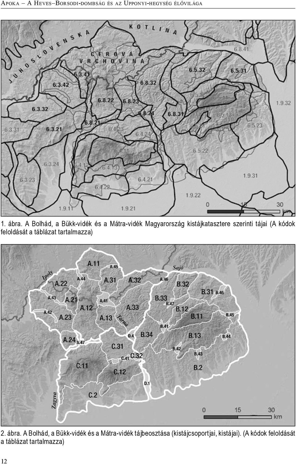 (A kódok feloldását a táblázat tartalmazza) 2. ábra.