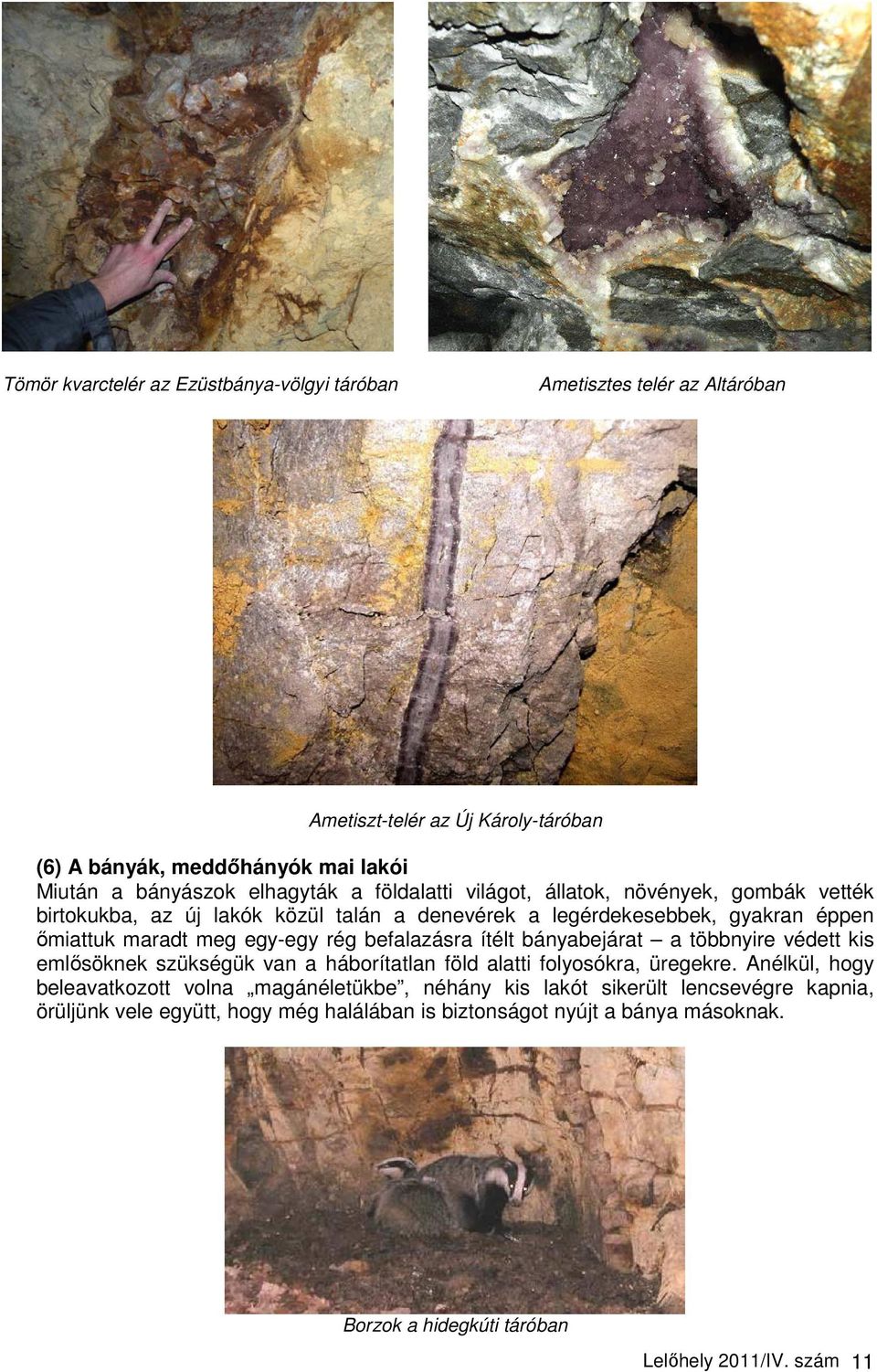 rég befalazásra ítélt bányabejárat a többnyire védett kis emlısöknek szükségük van a háborítatlan föld alatti folyosókra, üregekre.